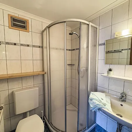 Schachner-2 By Interhome זאלבך הינטרגלם